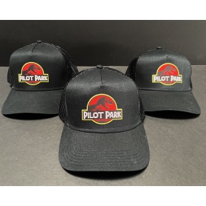 custom logo hat